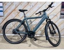 Riese &amp; Muller Culture vario