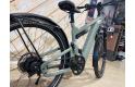 Riese &amp; Muller Delite4 GT rohloff ABS
