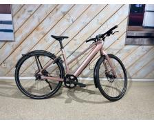 Riese &amp; Muller UBN Seven silent