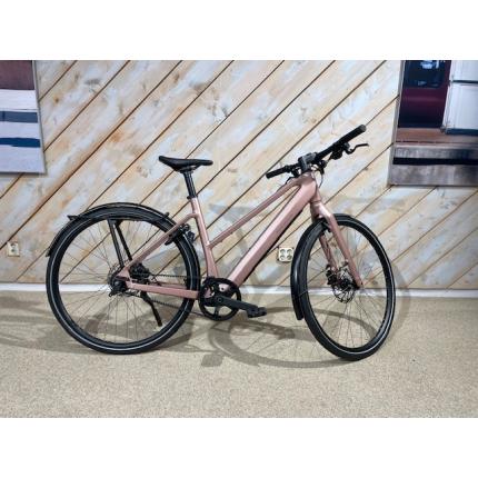 Riese &amp; Muller UBN Seven silent