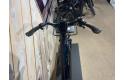 Riese &amp; Muller Homage4 GT rohloff