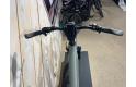 Riese &amp; Muller Delite GT rohloff